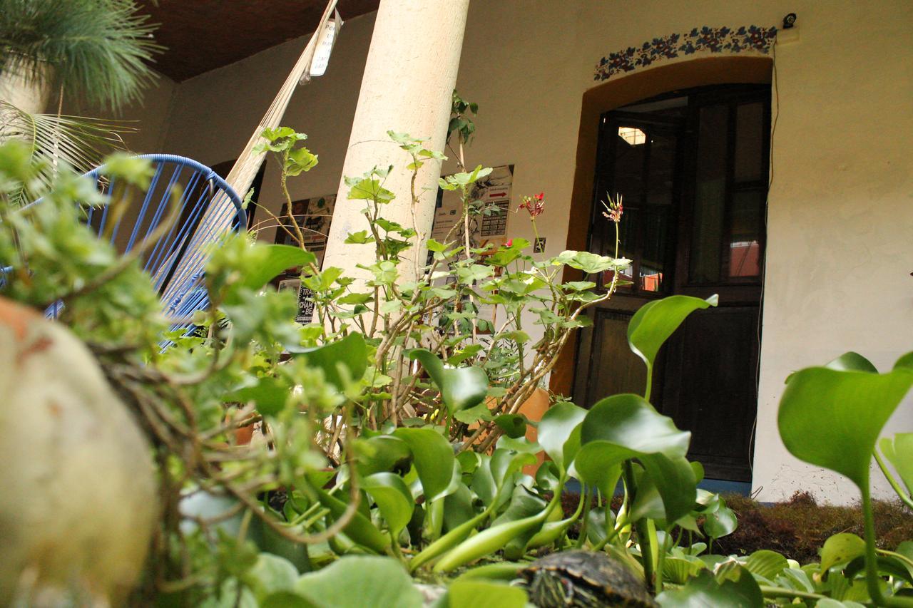 Hostal Luz De Luna Nuyoo Oaxaca Extérieur photo